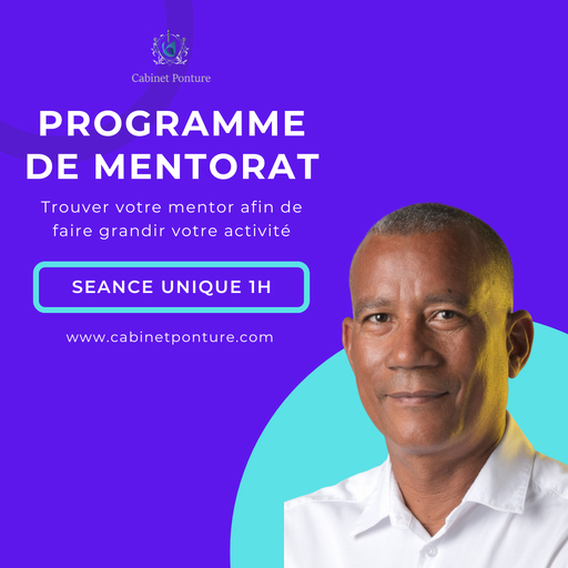 [MENTSU] Mentorat séance 1 heure