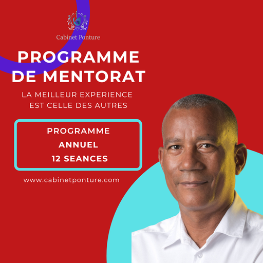 [MENTS12] Programme de Mentorat 12 séances 